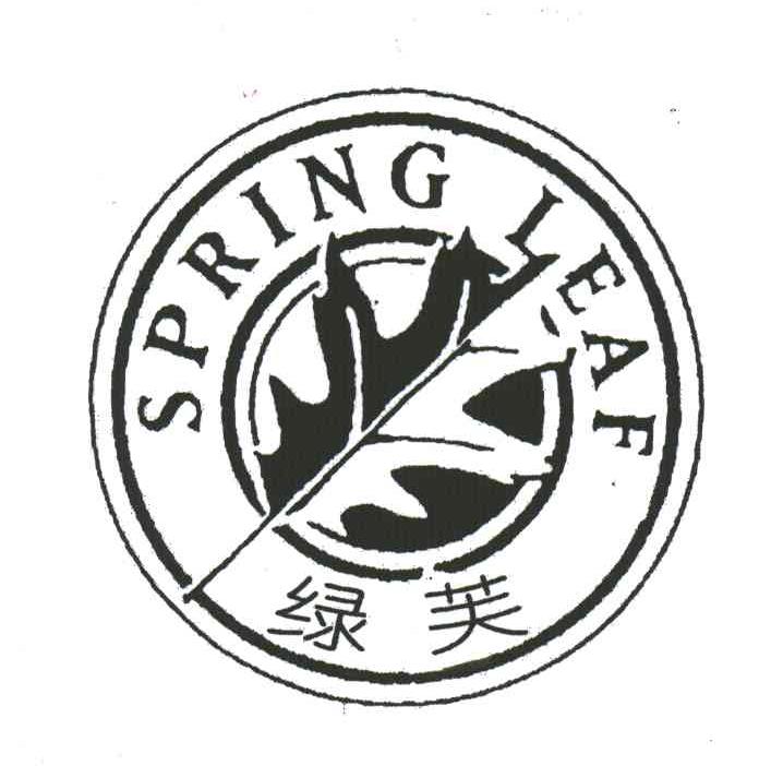 绿芙;SPRING LEAF