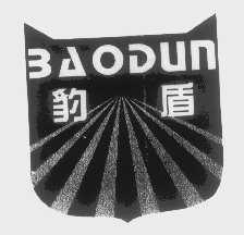 豹盾