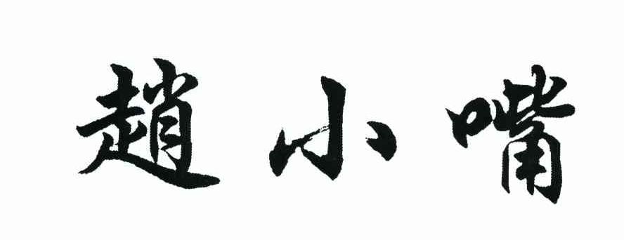 赵小嘴