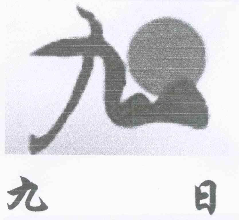 九 九日