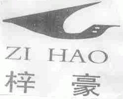 梓豪