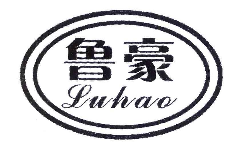 鲁豪