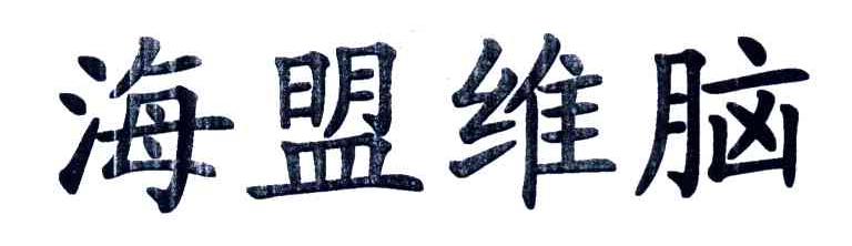 海盟维脑