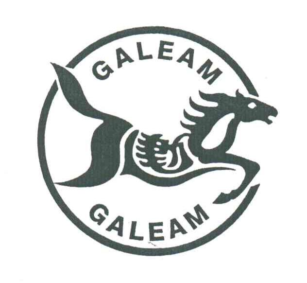 GALEAM