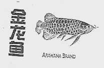 金龙鱼;ARAWANA