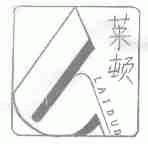 莱顿;LAIDUD