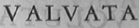 VALVATA