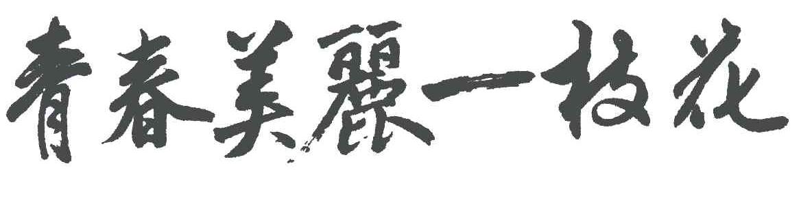 青春美丽一枝花