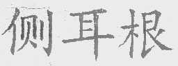 侧耳根