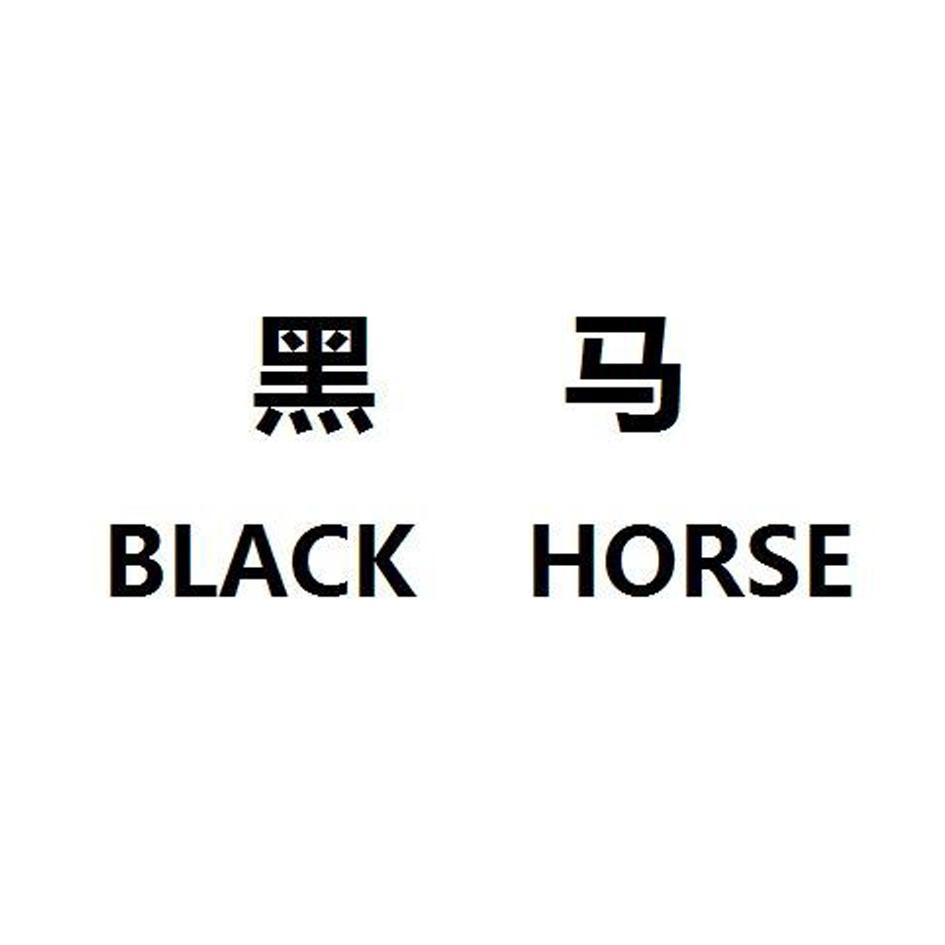 黑马  BLACK HORSE