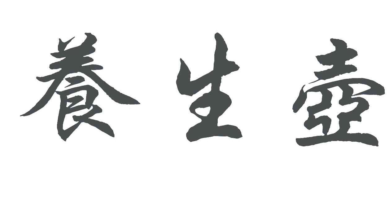 养生壶