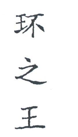环之王