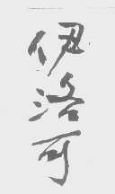 伊洛可