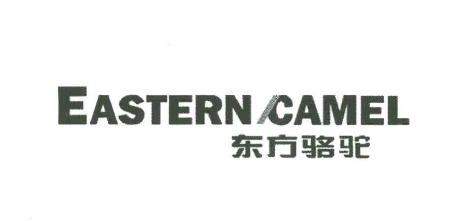 EASTERN CAMEL;东方骆驼