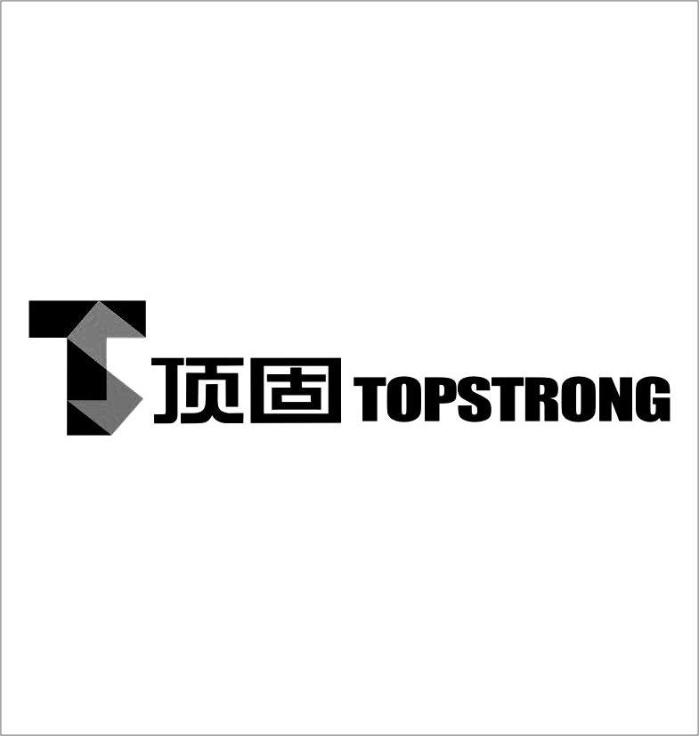 顶固 TS TOPSTRONG