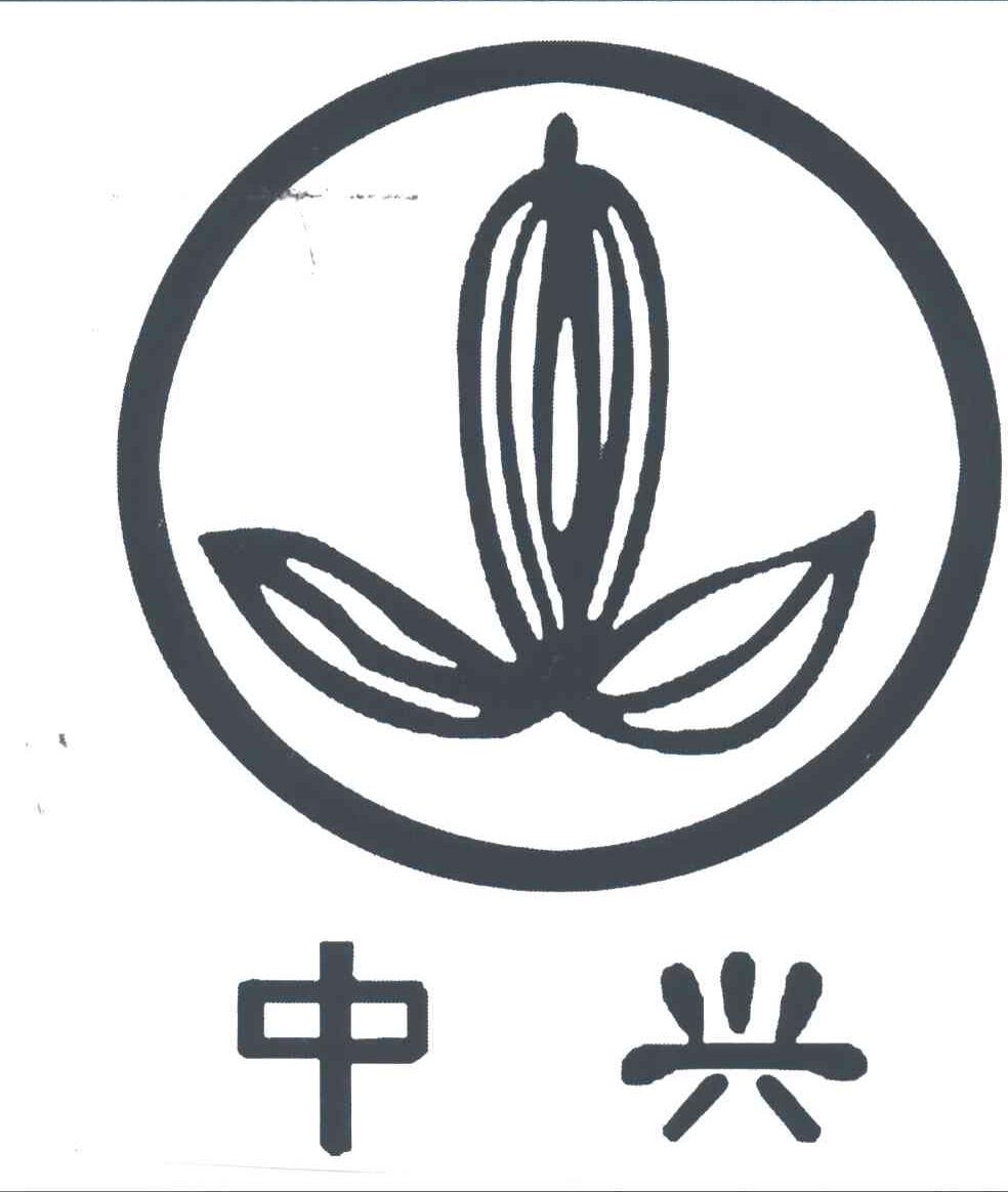 中兴