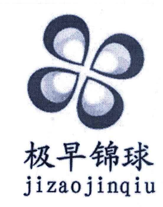极早锦球
