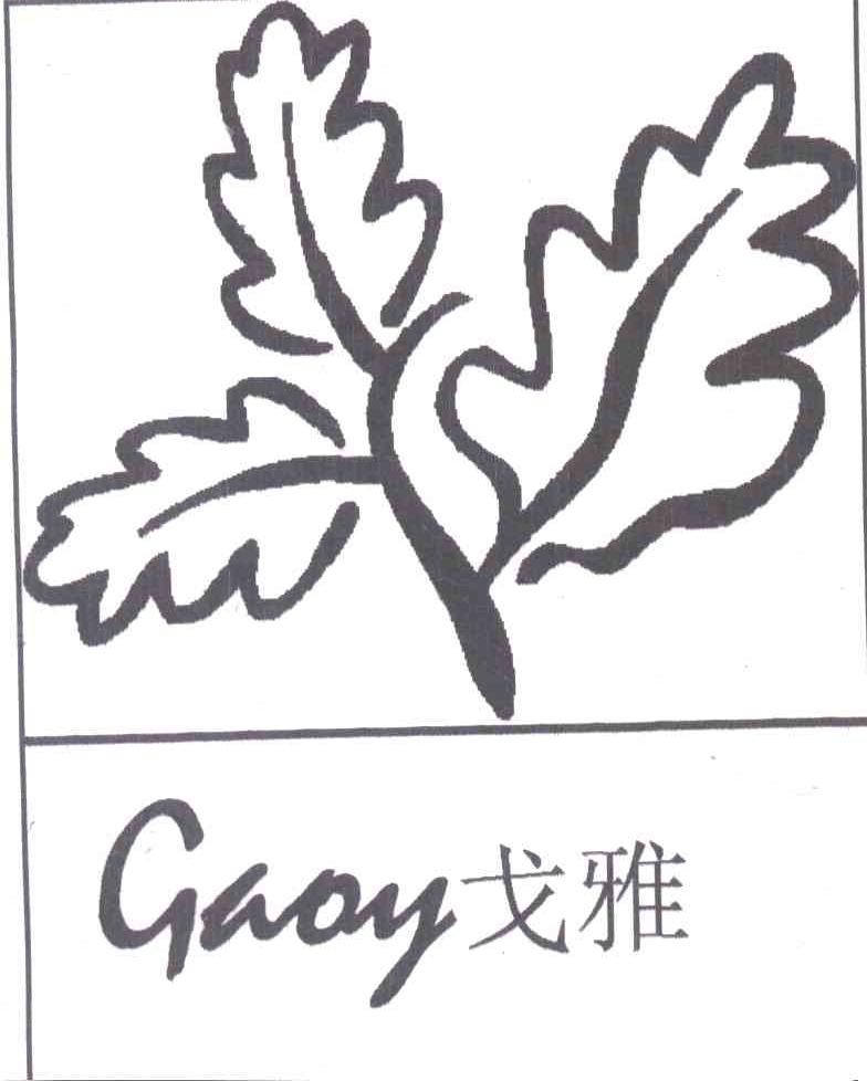 戈雅 GAOY