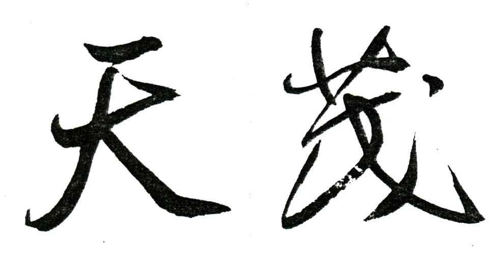 天茂