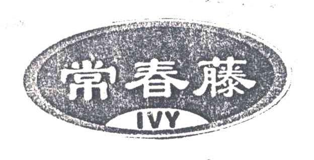常春藤;IVY