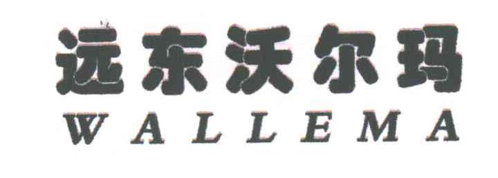 远东沃尔玛;WALLEMA