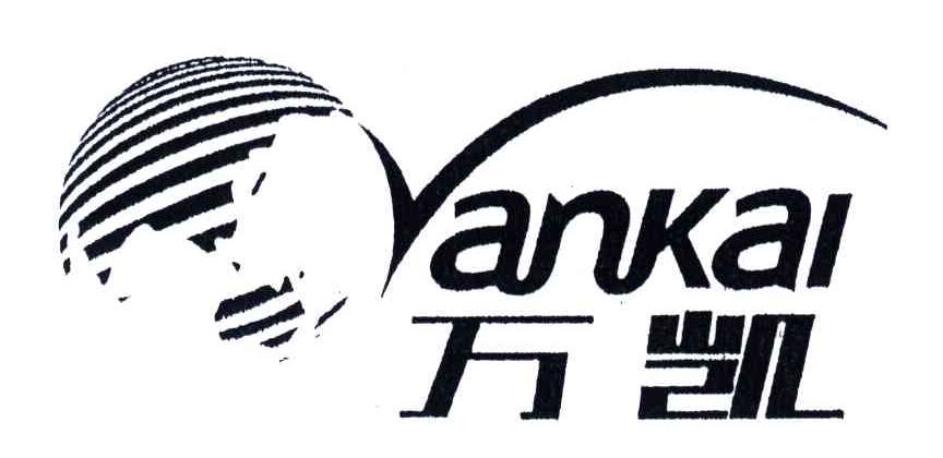 万凯;VANKAI