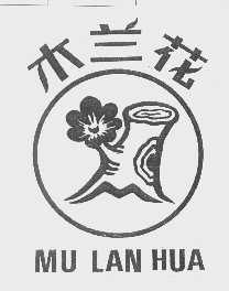 木兰花
