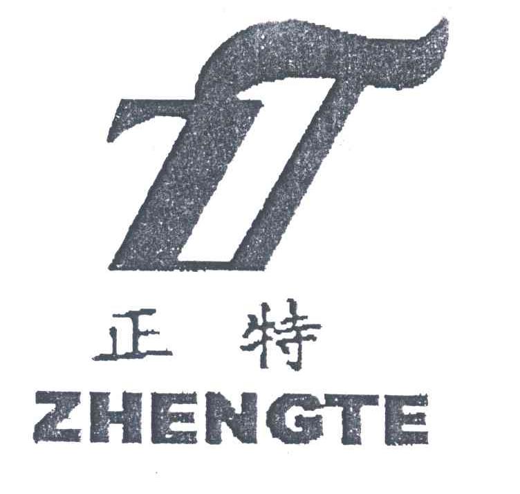 正特