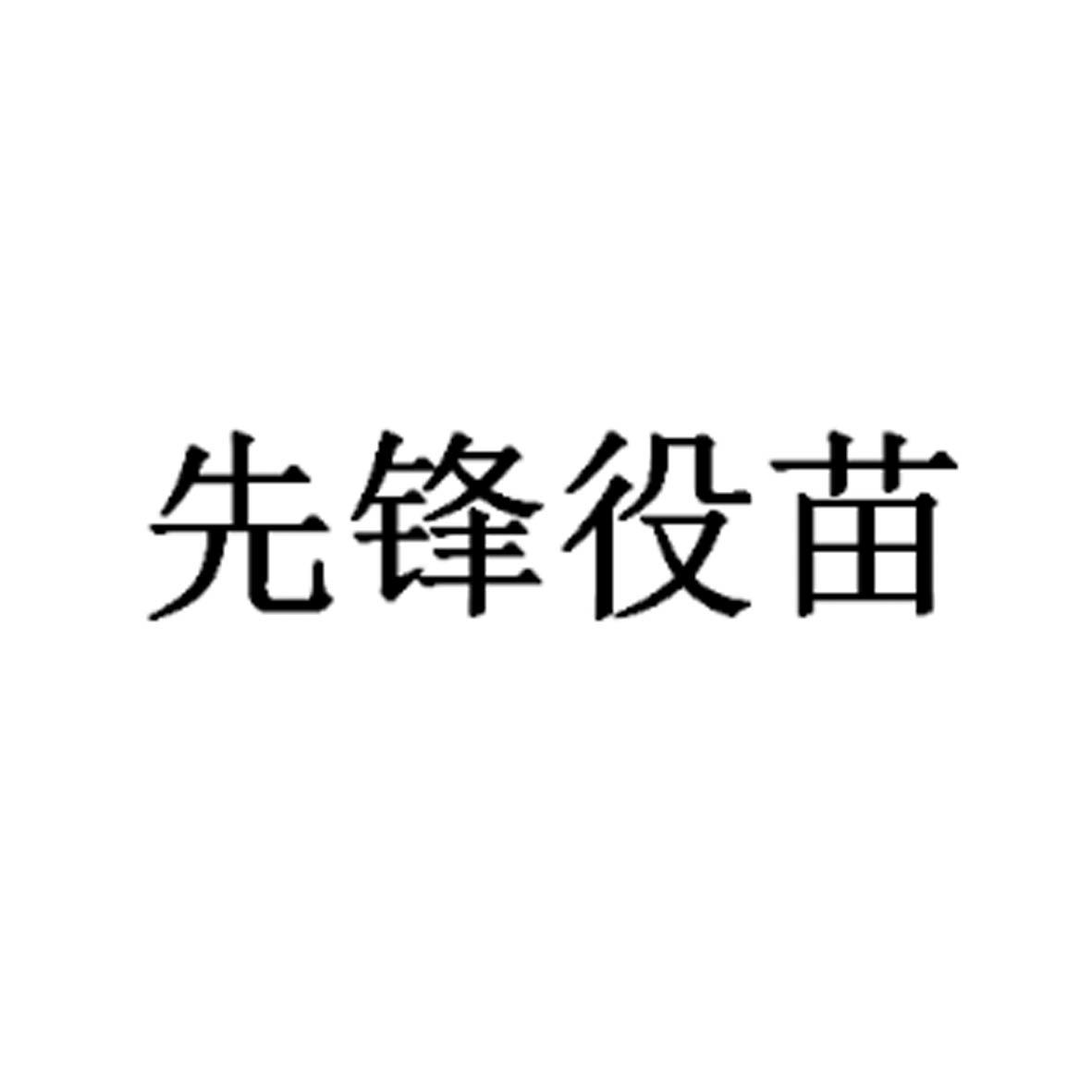 先锋役苗