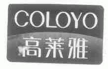 高莱雅;COLOYO