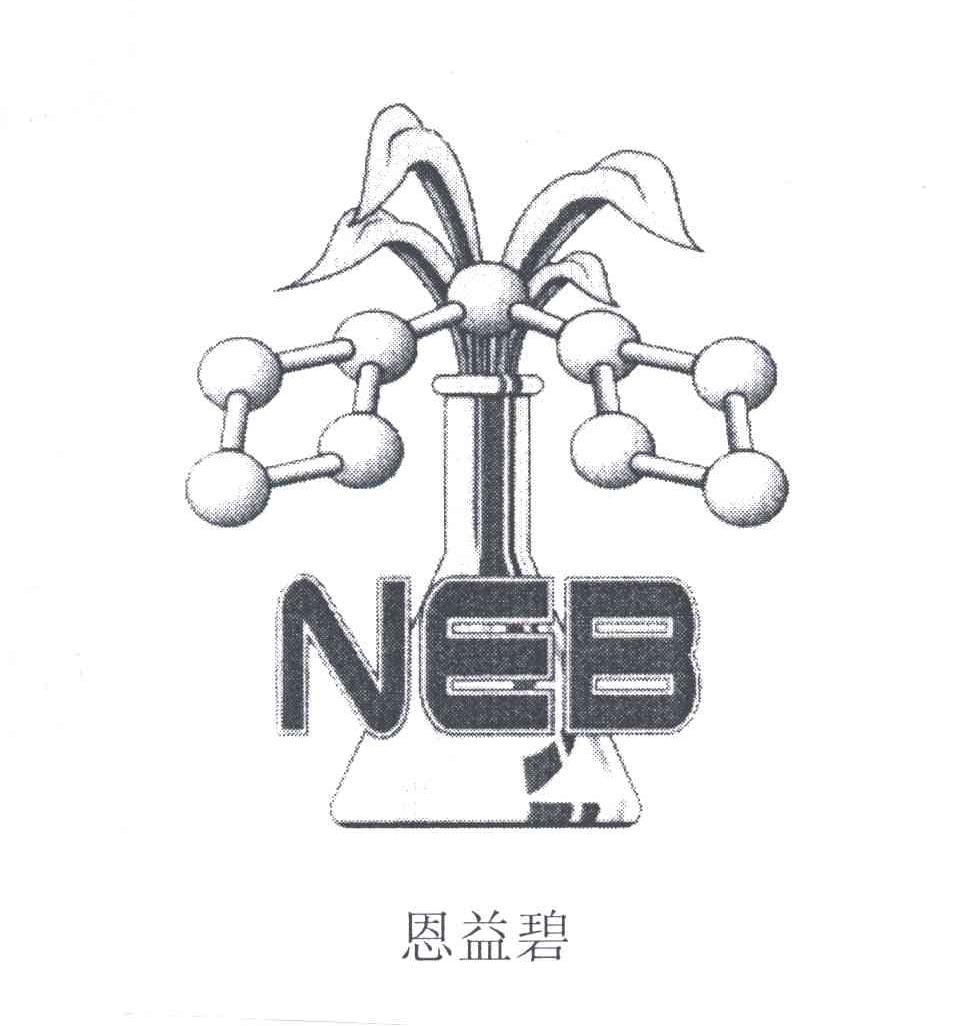 恩益碧NEB