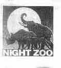 NIGHT ZOO