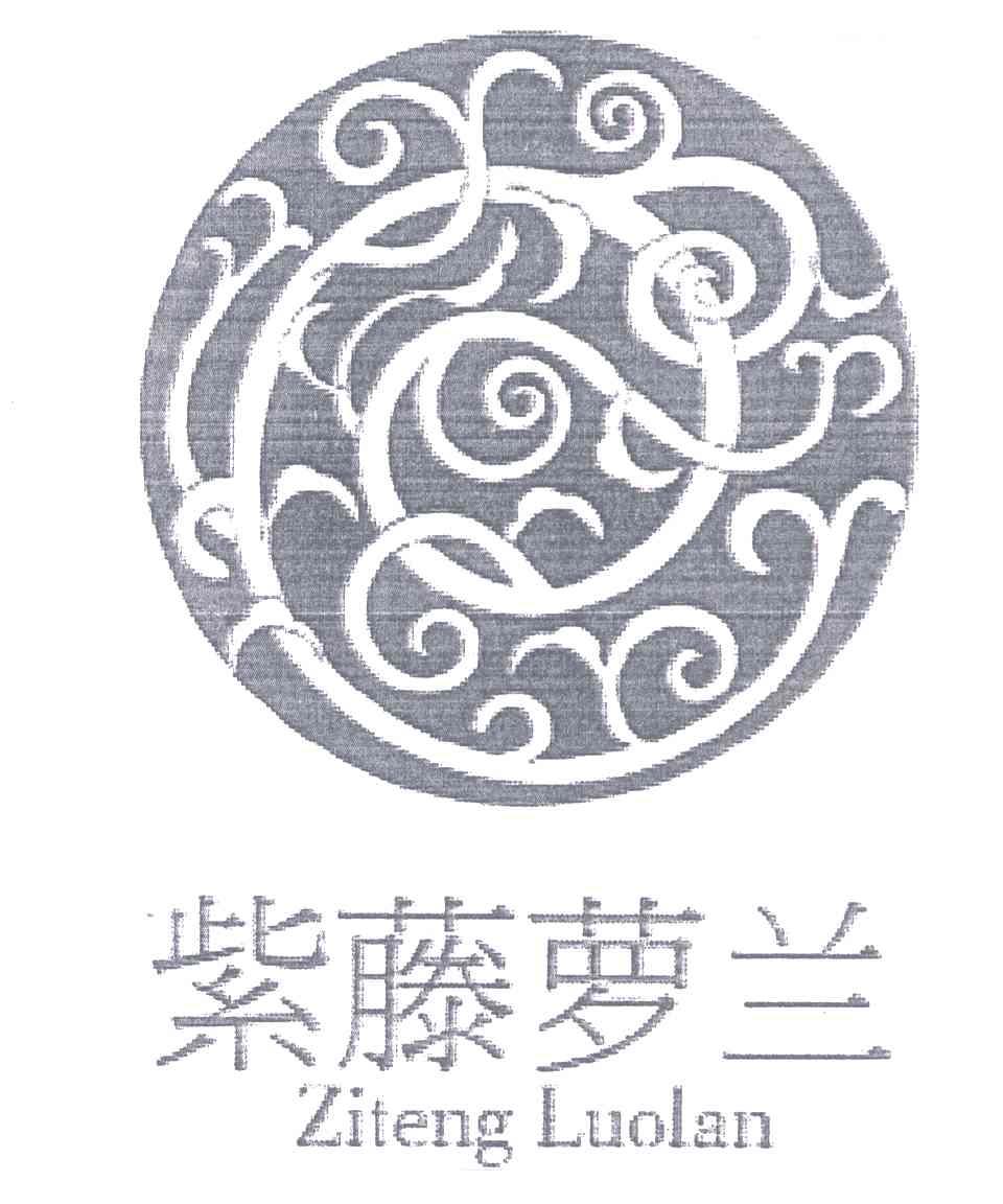 紫藤萝兰