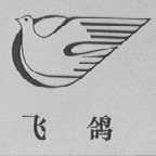 飞鸽