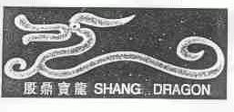 殷鼎宝龙;SHANG DRAGON