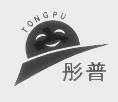 彤普