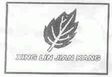 XING LIN JIAN KANG