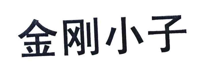 金刚小子