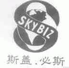 斯盖.必斯;SKYBIZ