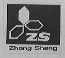 ZHONG SHENG
