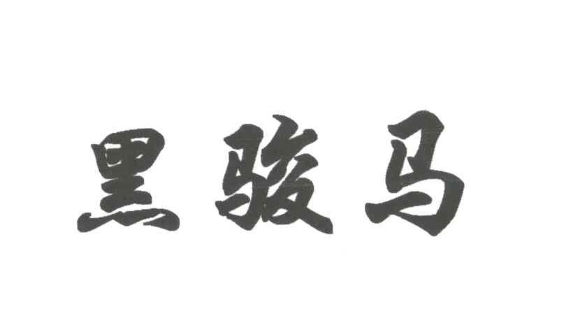 黑骏马
