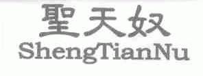 圣天奴