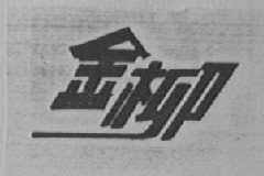金柳