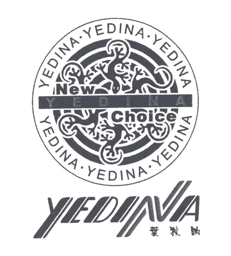 叶狄纳;NEW CHOICE