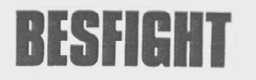 BESFIGHT