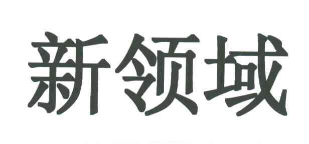 新领域
