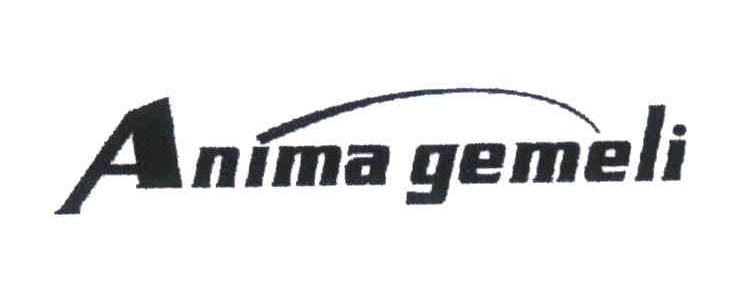 ANIMA GEMELI