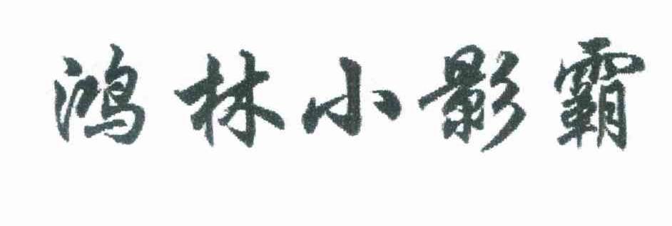 鸿林小影霸