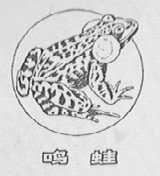 鸣蛙