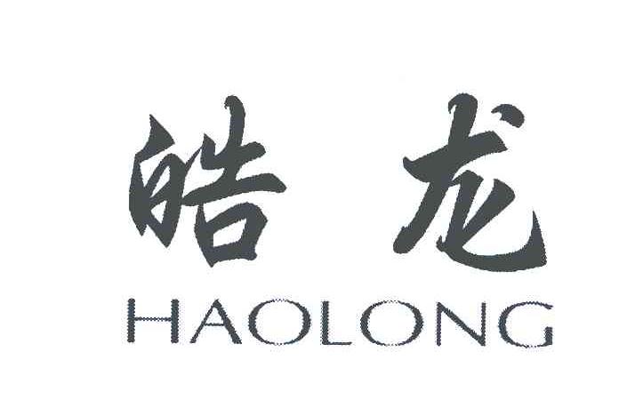 皓龙